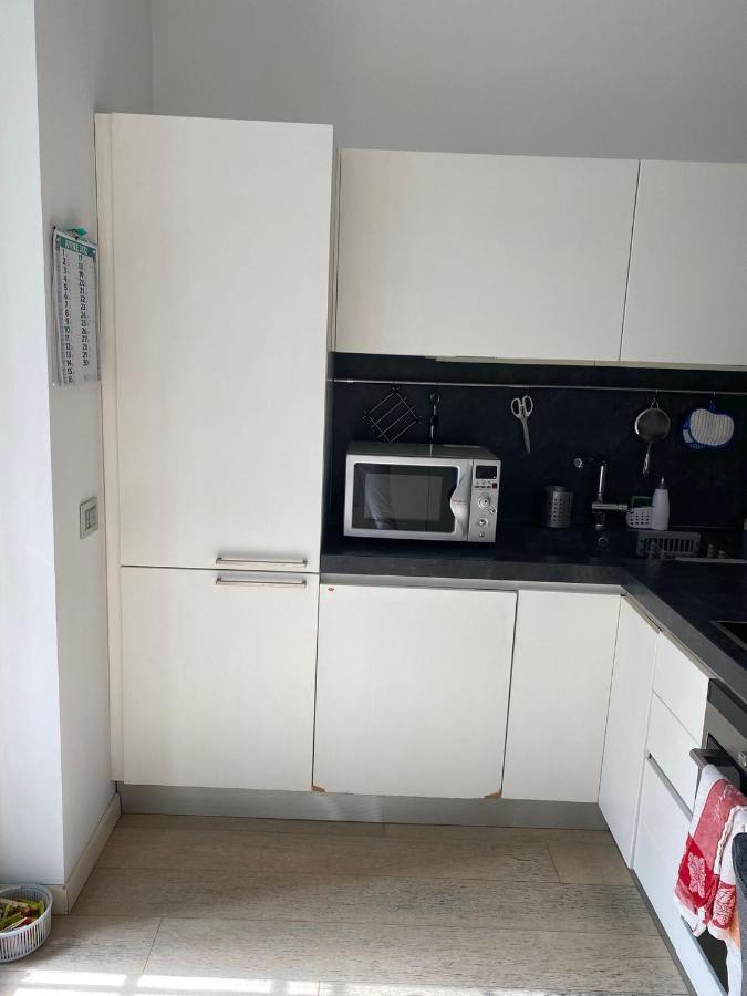 Lovely Apartment In The New Porta Nuova Area 米兰 外观 照片
